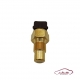 مهره آب (سنسور دماي آب) دو فيش قهوه اي پژو 405 -V.Part - كد 1013201